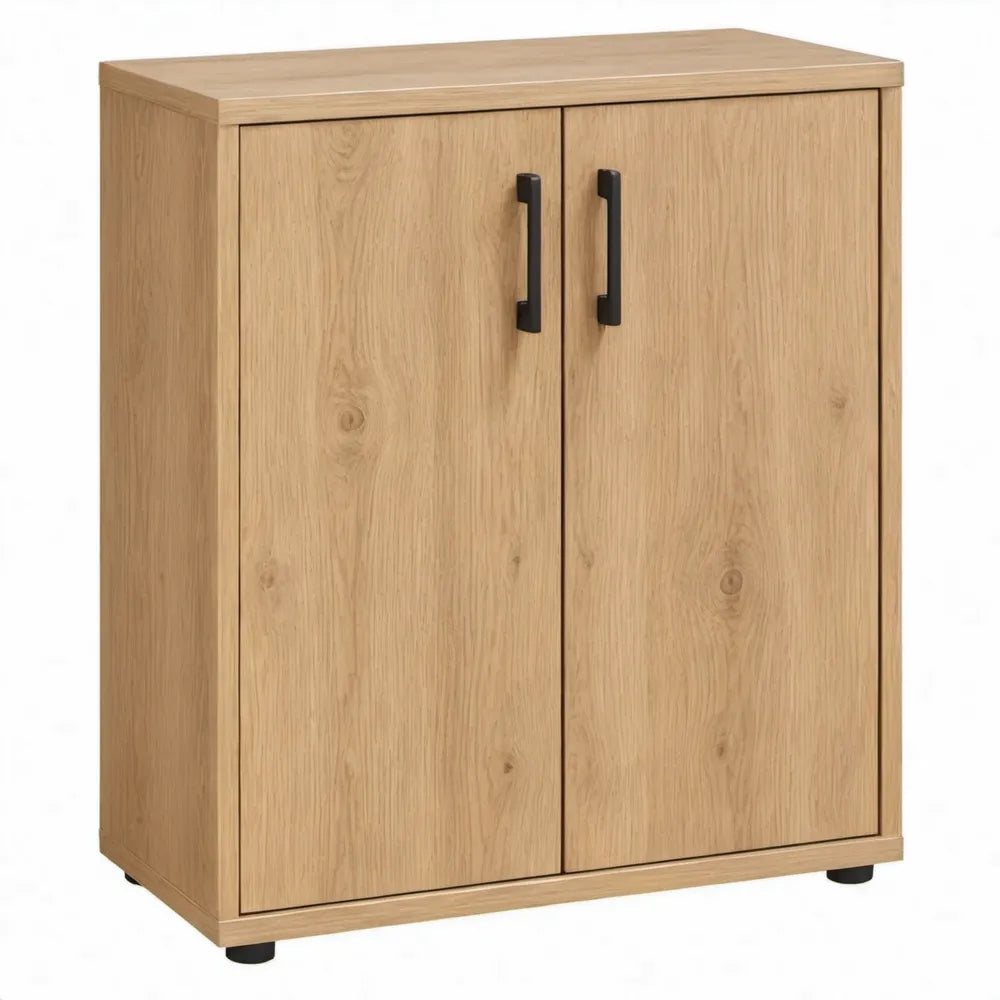 Archiefkast met 2 deuren, 2 legplanken en 3 opbergvakken, 80 x 40 x 120 cm, naturel eiken/zwart